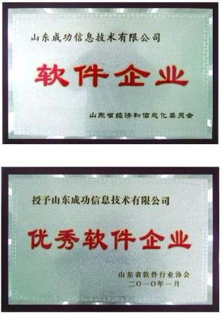 山东成功信息技术