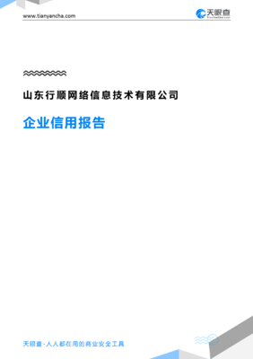 山东行顺网络信息技术(企业信用报告)- 天眼查